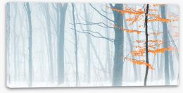 Forests Stretched Canvas 299399723