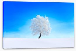Trees Stretched Canvas 299627773