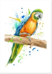 Birds Art Print 300344070