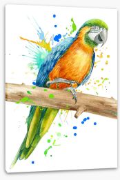Birds Stretched Canvas 300344070