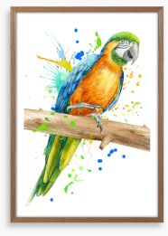 Birds Framed Art Print 300344070