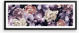 Purple peony panoramic Framed Art Print 301621818