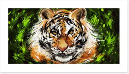 Animals Art Print 302477989