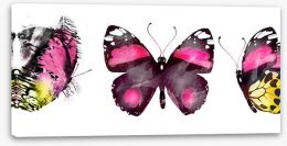 Butterflies Stretched Canvas 305357655