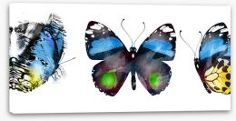 Butterflies Stretched Canvas 305357675