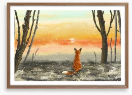 Golden sunset fox Framed Art Print 305694437