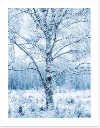 Silver birch snow Art Print 307823996