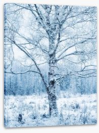 Silver birch snow Stretched Canvas 307823996