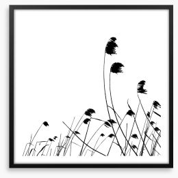 Blowing in the breeze Framed Art Print 31000397