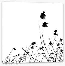 Blowing in the breeze Stretched Canvas 31000397