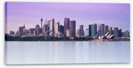 Sydney harbour skyline at twilight Stretched Canvas 31173599