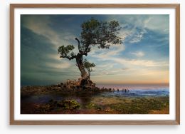 By the twisted pine Framed Art Print 312165526