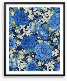 English rose blues Framed Art Print 313107420