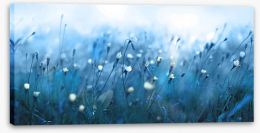 Meadows Stretched Canvas 327791216