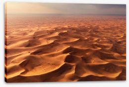 Desert Stretched Canvas 329091538