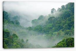 Mist in the rainforest Stretched Canvas 33113644