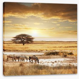 Africa Stretched Canvas 33148563