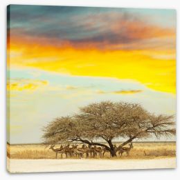 Africa Stretched Canvas 33270069