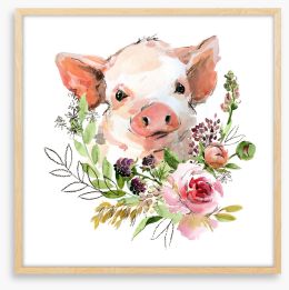 Rosy the pig