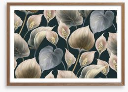Calla lily moonlight Framed Art Print 333281211