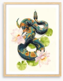Snake in the lotus Framed Art Print 337662783