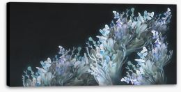 Coral me blue Stretched Canvas 337774577