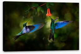Birds Stretched Canvas 340193210