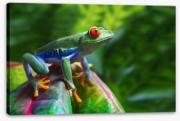 Reptiles / Amphibian Stretched Canvas 34031556