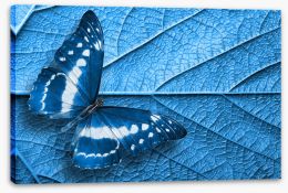 Butterflies Stretched Canvas 340371387