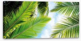 Palm leaves Stretched Canvas 35504797