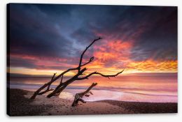 Beaches Stretched Canvas 355418795