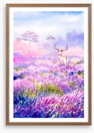 Among the lavender Framed Art Print 358828089
