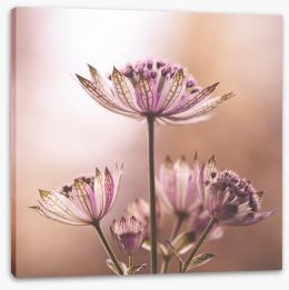 Flowers Stretched Canvas 359871379