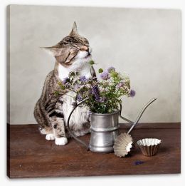 Curiosity tickled the cat Stretched Canvas 36090279