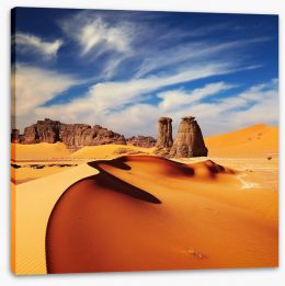 Desert Stretched Canvas 36106694
