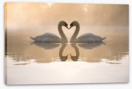 Dawning love Stretched Canvas 36492716