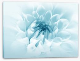 Flowers Stretched Canvas 36657766