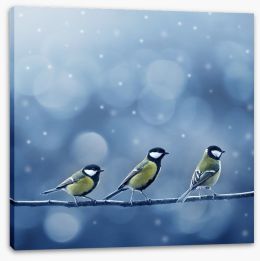 Titmouse birds in the snow Stretched Canvas 37426256