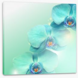 Floral Stretched Canvas 37438633