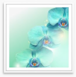 Orchid enlightenment Framed Art Print 37438633