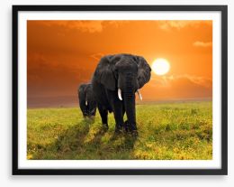 Serengeti steps Framed Art Print 37466904