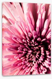 Flowers Stretched Canvas 374928492