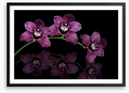Purple orchid arc Framed Art Print 37843757