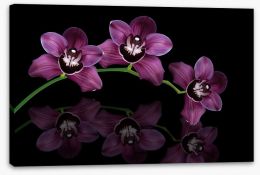 Flowers Stretched Canvas 37843757