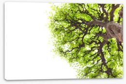 Trees Stretched Canvas 38258813
