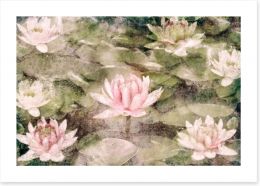 Water Lily dreams Art Print 38390987