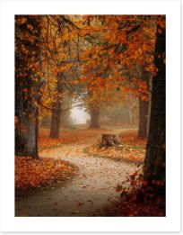 Autumn Art Print 384563197