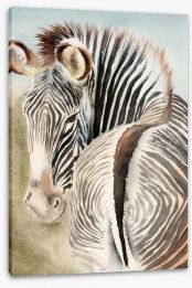 Animals Stretched Canvas 384704674