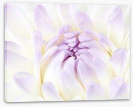 Flowers Stretched Canvas 390144611
