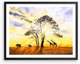 Sunbeam safari Framed Art Print 391786265